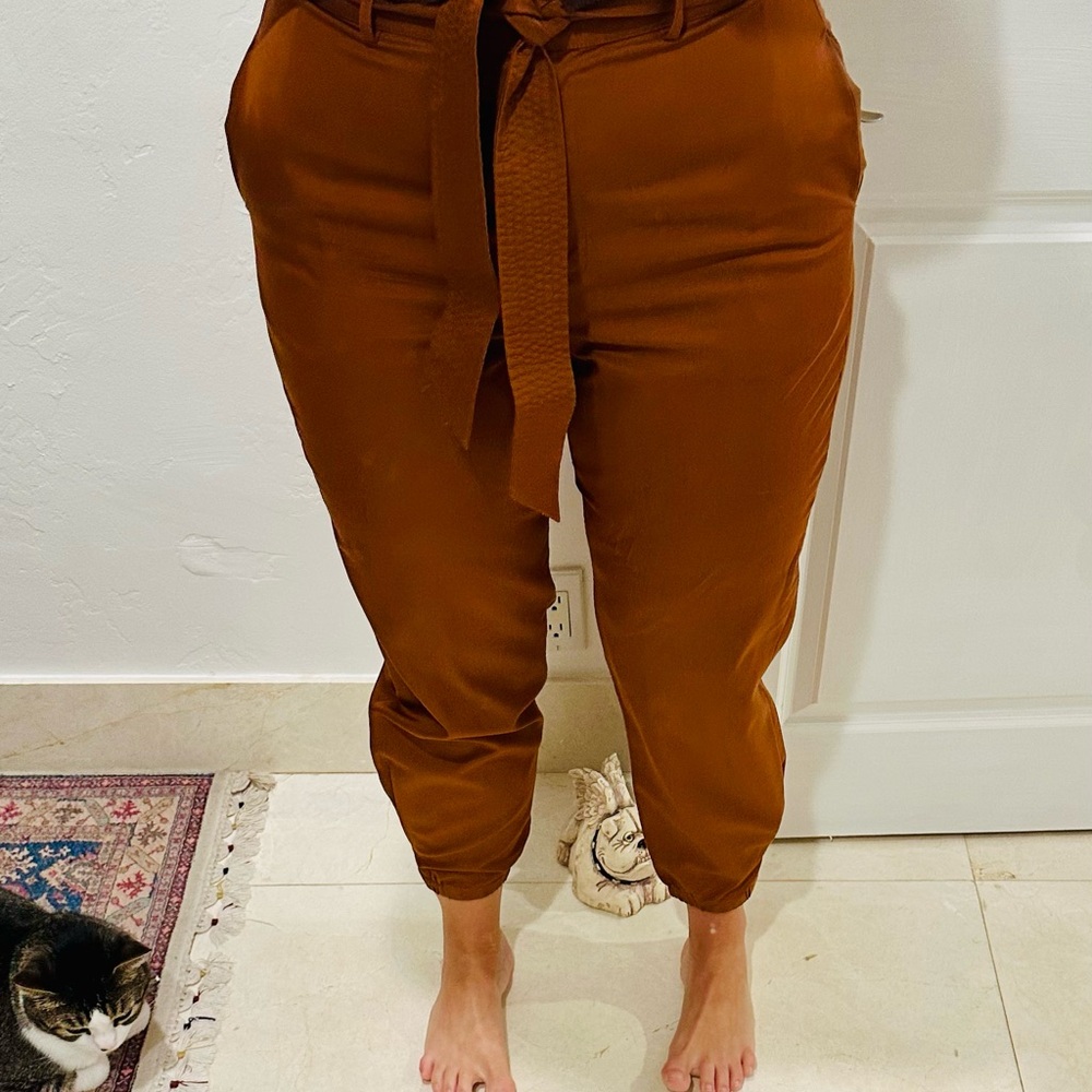 Antonio Melanie High-Rise Ankle Tie-Waist Women's Pants in Rust shin Size 10
